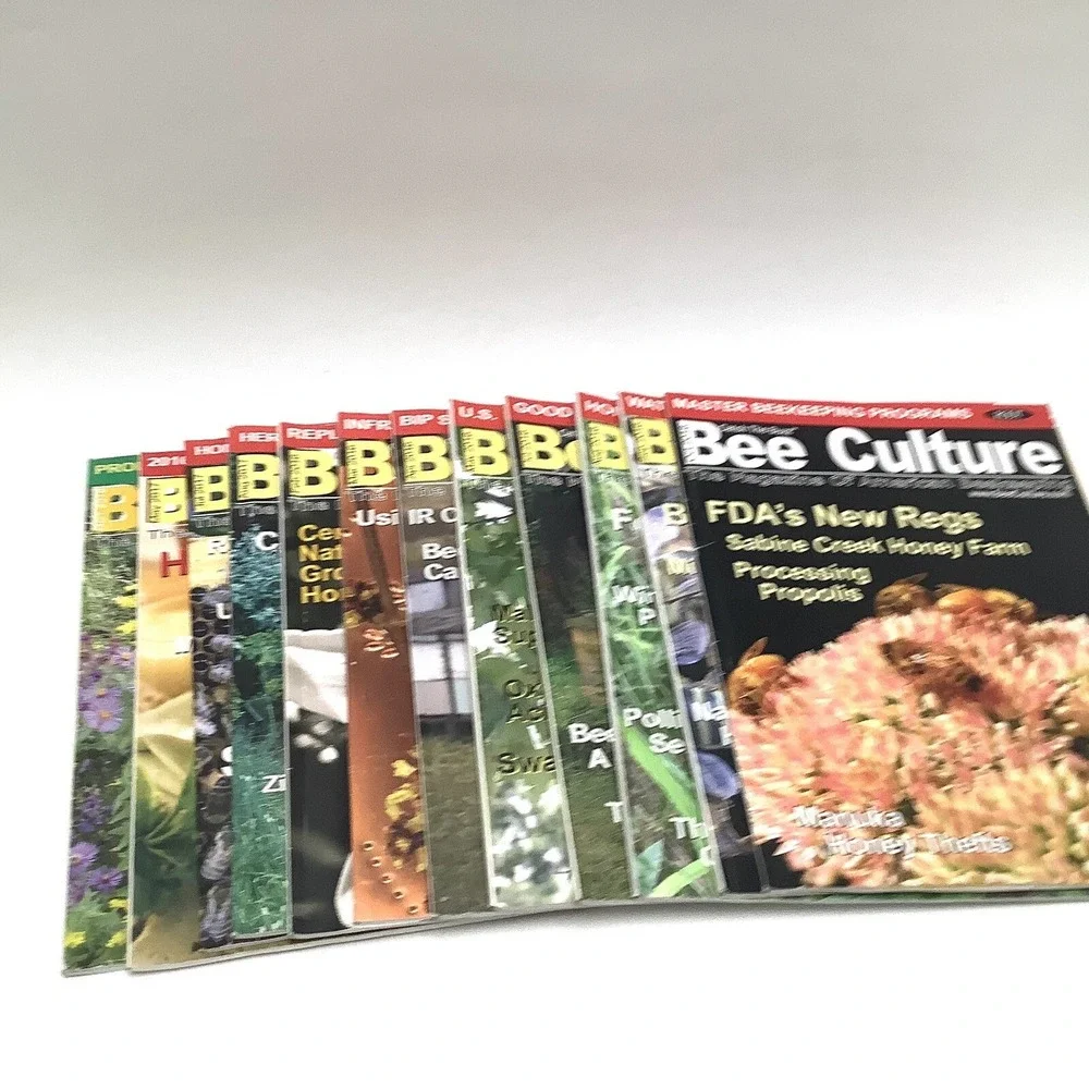 5th Culture 12 bee